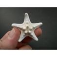 thumbnail image 2 of 12 White Knobby Starfish 2-3" Beach Wedding Decor Nautical Crafts Hobby REAL, 2 of 4