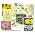 thumbnail image 1 of Current Get Well Greeting Cards Value Pack- Set of 20, Large 5" x 7", 1 of 7