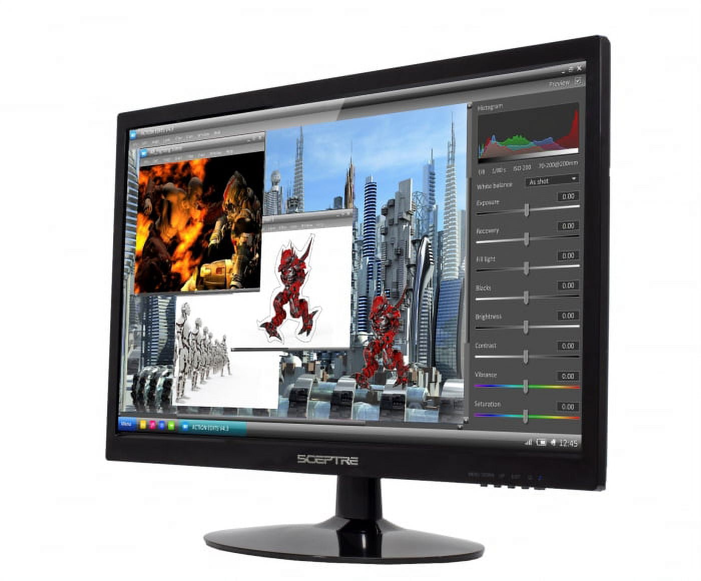 Sceptre 1920x1080 HDMI DVI VGA LED FHD 22-Inch Monitor - E225W-19208A Build-in Speakers, True Black (2017)