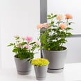 thumbnail image 6 of Mainstays Pottery 6in Ceramic Planter with Saucer,Gray, 6 of 9