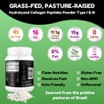 thumbnail image 2 of SHIFAA NUTRITION Halal & Grass-Fed Hydrolyzed Collagen Peptides Protein Powder, 2 of 8