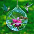 thumbnail image 6 of EUDIDV Suet Bird Feeder Humming Glass Feeder Manually Blowing Glass Hummingbird Feeder Avian Feast Station, 6 of 7