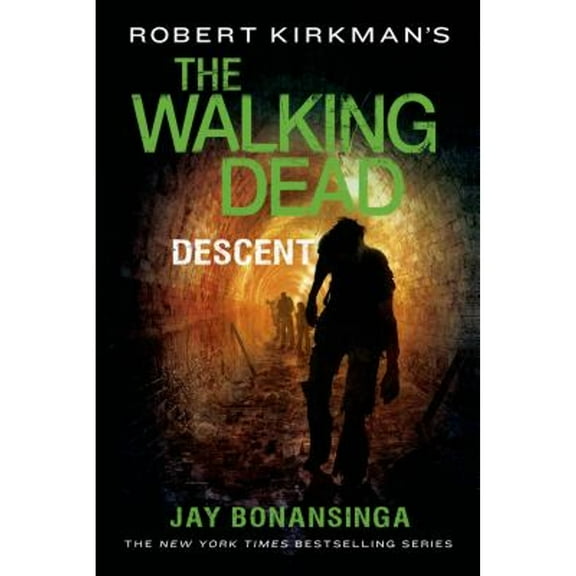 Pre-Owned Robert Kirkman's the Walking Dead: Descent (Paperback) 1250067901 9781250067906