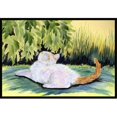 thumbnail image 1 of Carolines Treasures SS8273MAT 18 x 27 Po Chat Paillasson Intérieur et Extérieur, 1 of 4