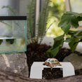 thumbnail image 4 of Basking Platform For Aquatic Turtles With Suction Cups Floating Island Turtle Tank Climbing Ramp For Turtles Gecko And Lizard Habitat Accessories, 4 of 8