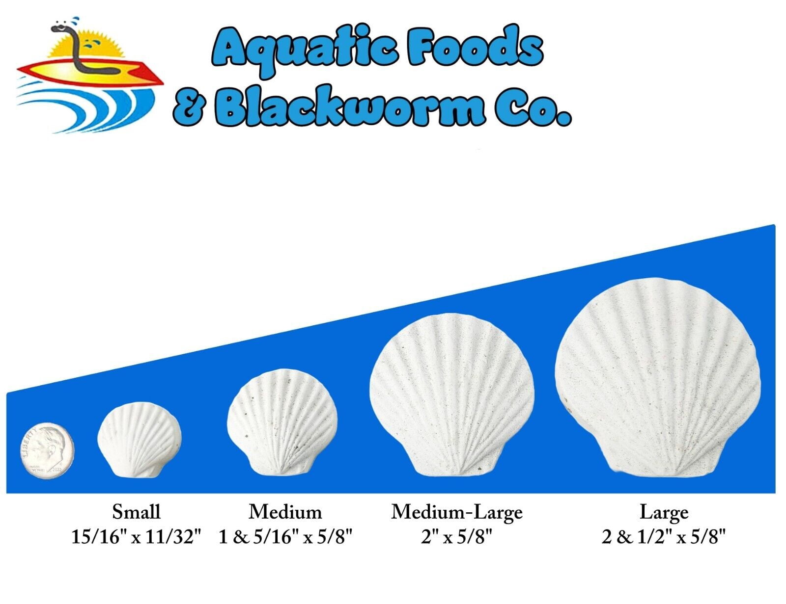 Aquatic Foods Inc. Calcium Feeder Medium-Large Shells. Extra Thick Shells for Shrimp, Snails, Crabs, Crayfish, Hermit Crabs and all Tropical Fish…90 Count Jar