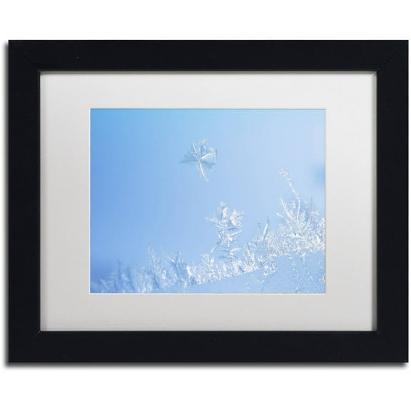 Trademark Fine Art "Window Frost" Canvas Art by Kurt Shaffer White Mat, Black Frame