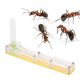 thumbnail image 1 of Caja de cría de Hormigas Higoodz de 5,5 x 0,9 x 3 pulgadas Con botella de Abrazadera Cuentagotas, 1 of 8