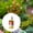 Rose Chaud, variante sur Enracinement pour Boutures, Supplément d'Amélioration de la Croissance des Plantes Prise de Racines Supplément d'Enracinement pour Repiquage les Semis Favorise l'Enracinement Faire Pousser de Nouvelles Plantes à Partir de Boutures 50 ml, Outil d'Enracinement
