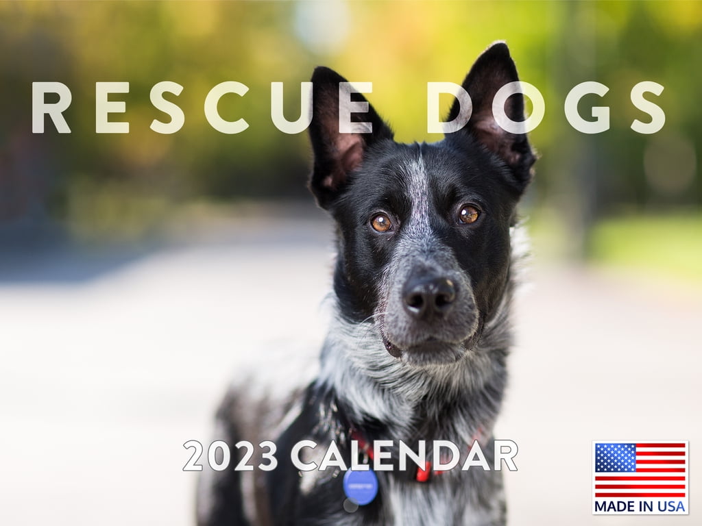Rescue Dog Calendar 2023 Monthly Wall Hanging Calendars Cute Shelter