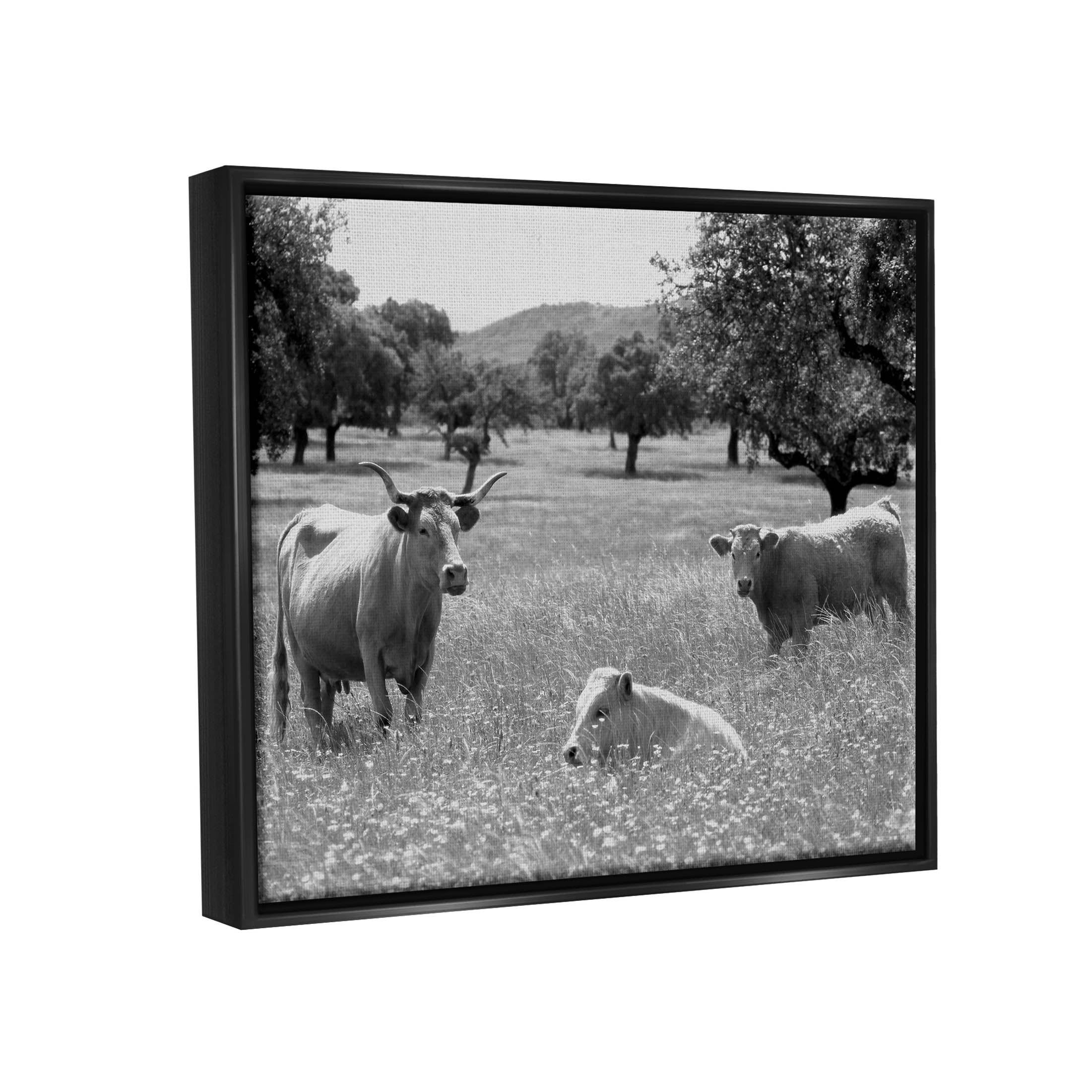 Stupell Industries Countryside Meadow Cattle Photograph Jet Black Floating Framed Canvas Print Wall Art, Design by Daphne Polselli