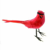 24 Pack: Cardinal Bird by Ashland
