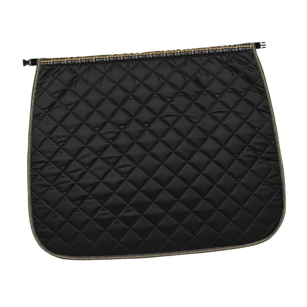Falda cortavientos para motocicleta, impermeable, ligera, fácil de instalar, color negro con Sin bolsa