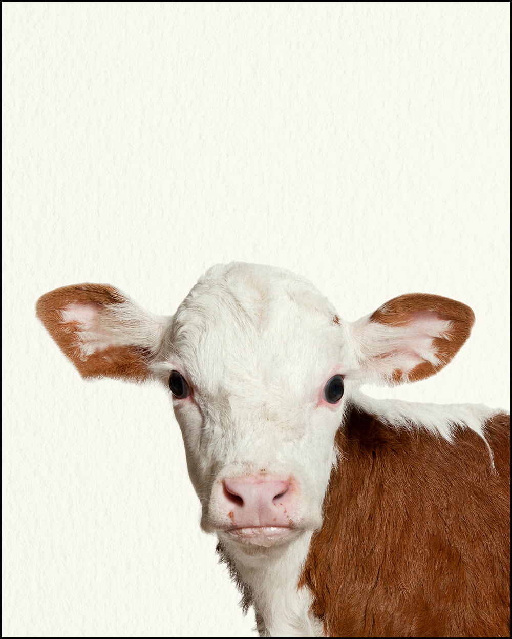 cow nursery