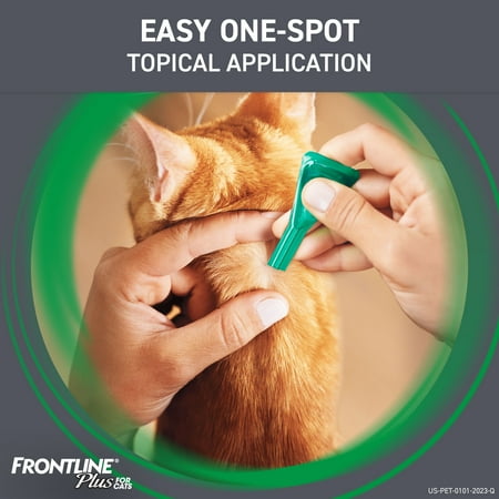 (2 pack) FRONTLINE Plus for Cats and Kittens Flea and Tick Treatment, 6 Count