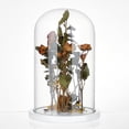 thumbnail image 4 of Campana de cristal decorativa con base de madera blanca., 4 of 6
