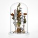 thumbnail image 4 of Campana de cristal decorativa con base de madera blanca., 4 of 6