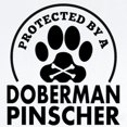 thumbnail image 2 of CafePress - Protected By A Doberman Pinscher Body Suit - Baby Light Bodysuit, 2 of 4