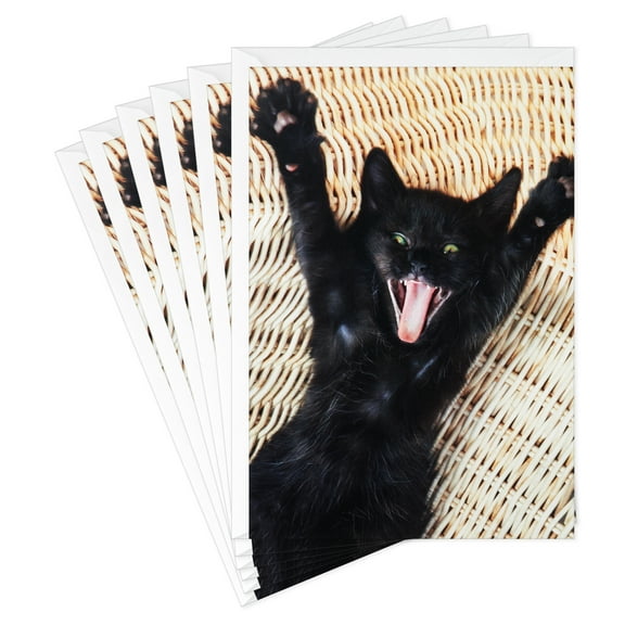 Hallmark Funny Birthday Greeting Card (Wild Black Cat)