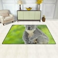 thumbnail image 3 of Coolnut Lightweight Soft Area Rugs 60 x 39 inch (5'x 3'3"), Koala Bear in Forest Zoo Floor Mat for Kids Playing Room Hardwood Floor Living Room Nursery Rugs, 3 of 6
