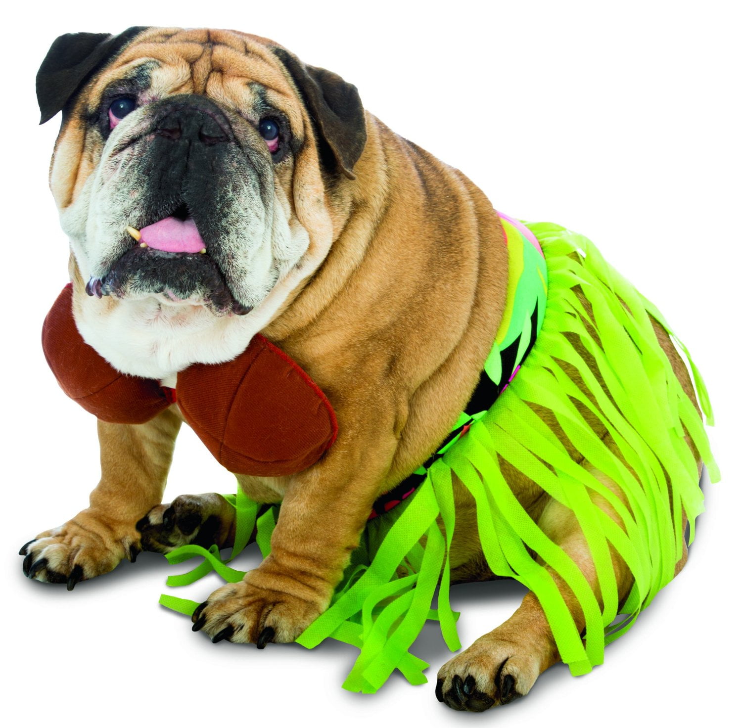 rasta dog costume