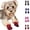 Red, variant on Bisitoy Dog Shoes for Hot Pavement, 4Pcs Anti-Slip Sole Booties for Small Dogs Summer Walking