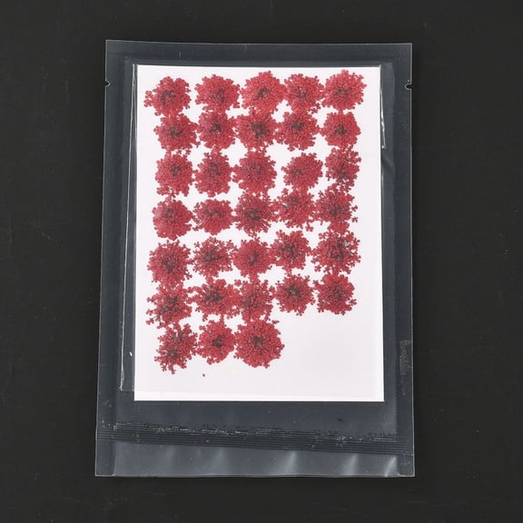 1Bag Pressed Dried Flowers DIY Handmade Craft FireBrick for Cellphone Photo Frame Scrapbooking 15~20x13~19mm 100pcs/bag