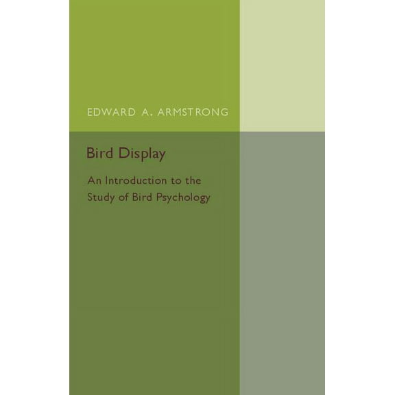 Bird Display, (Paperback)