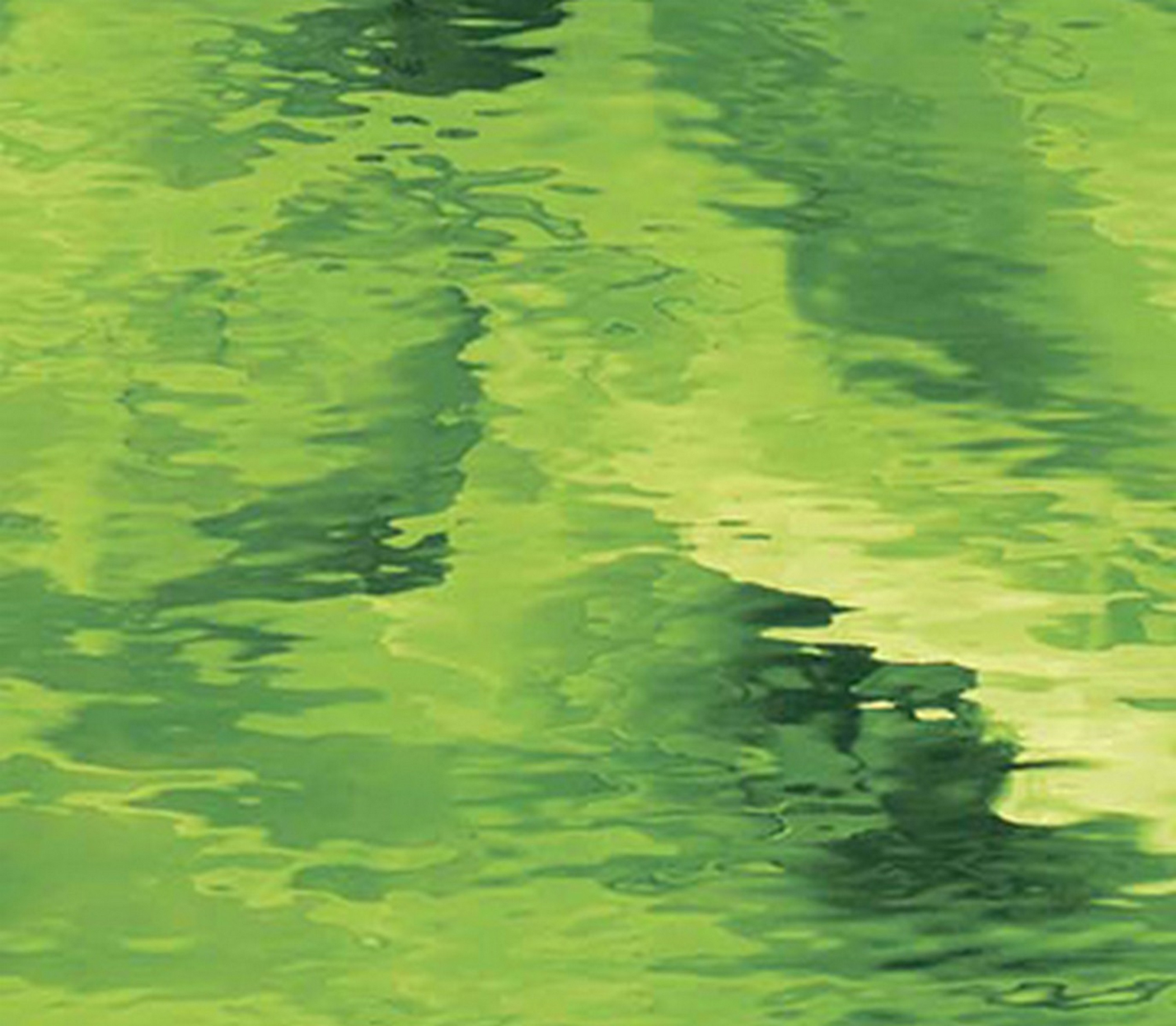 OCEANSIDE STAINED/FUSING GLASS SHEETS - MOSS GREEN WATERGLASS FUSIBLE (Small 8" x 10")