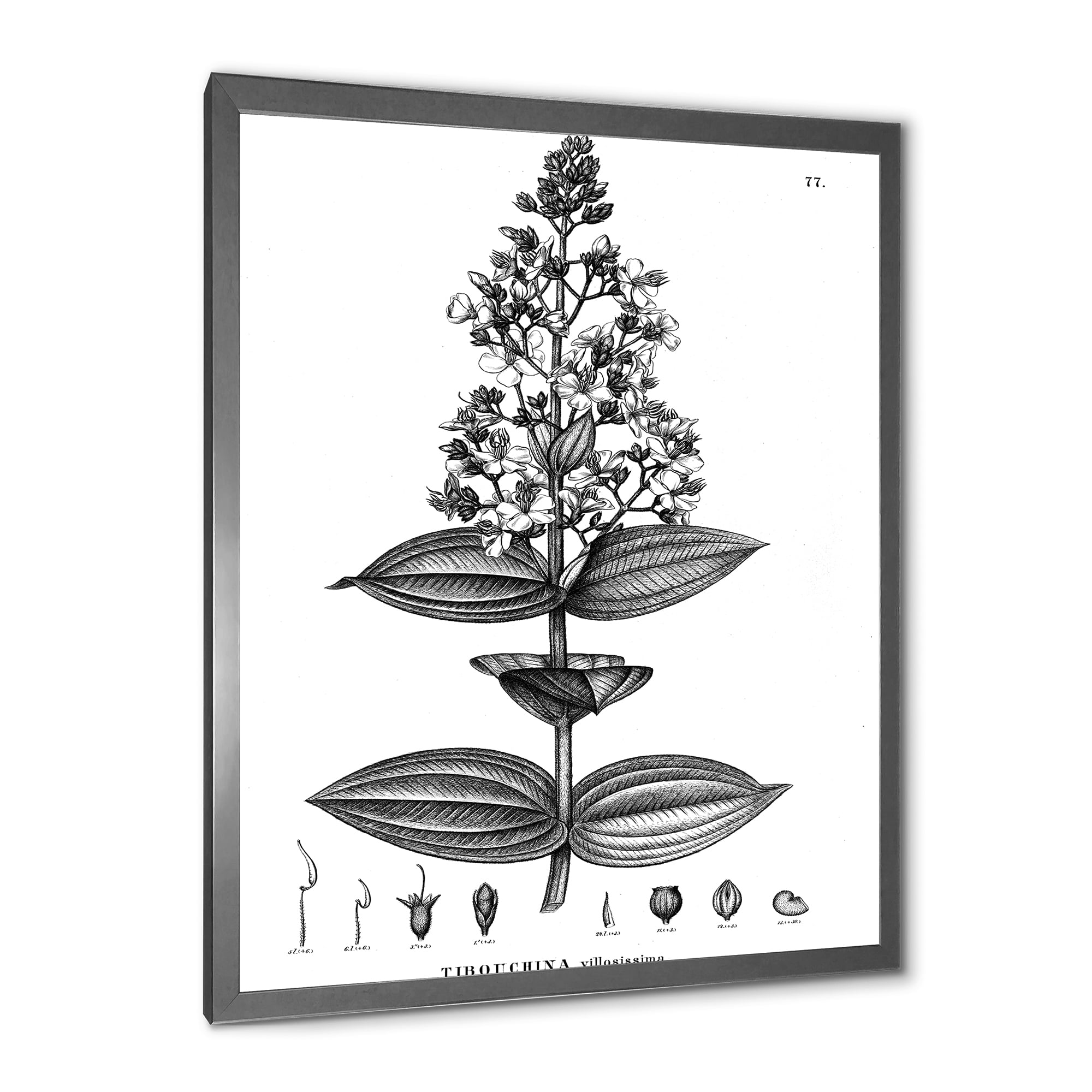 Designart 'Ancient American Flora VI' Traditional Framed Art Print
