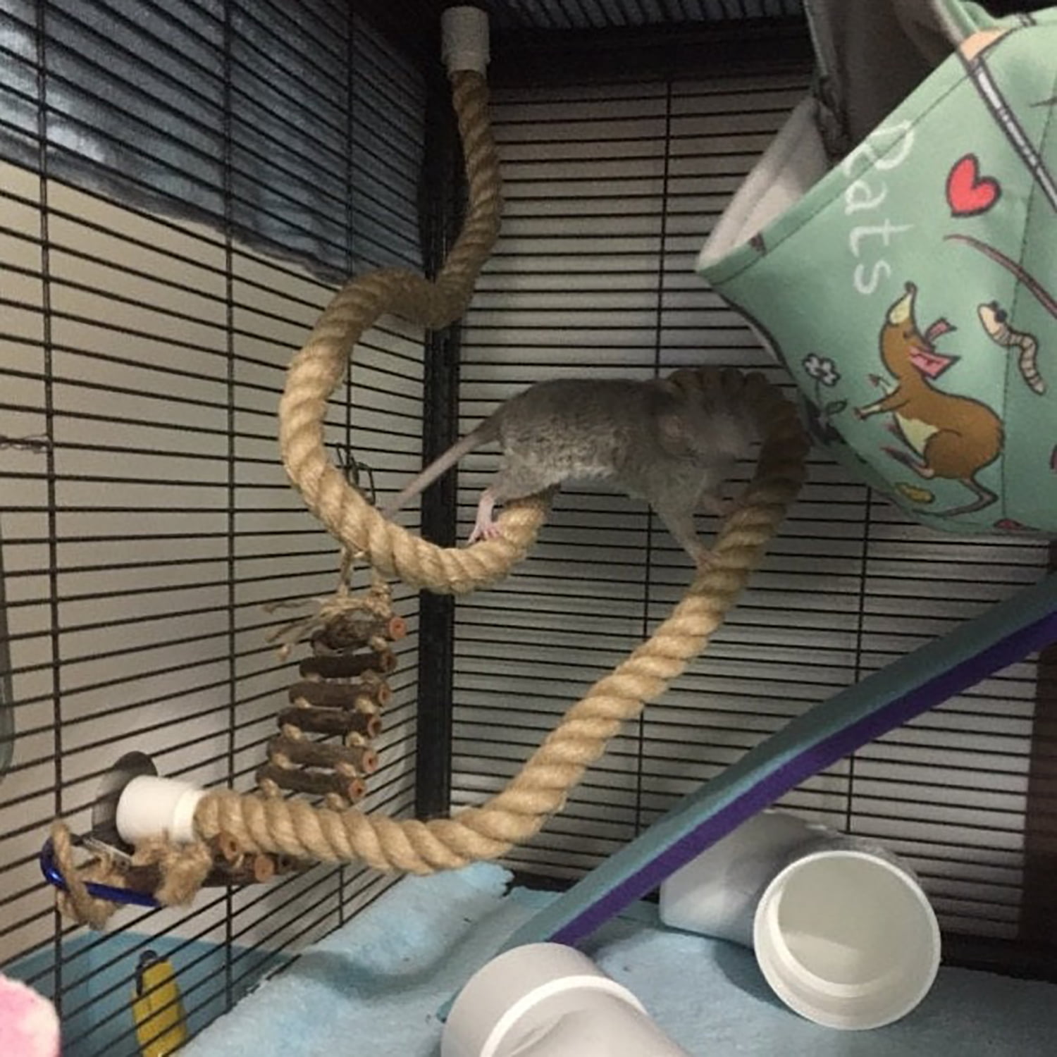 Exotic Nutrition Natural Rope (Thick) - Small Animal Cage Accessory - Sugar Glider, Squirrel, Marmoset, Parrot, Birds