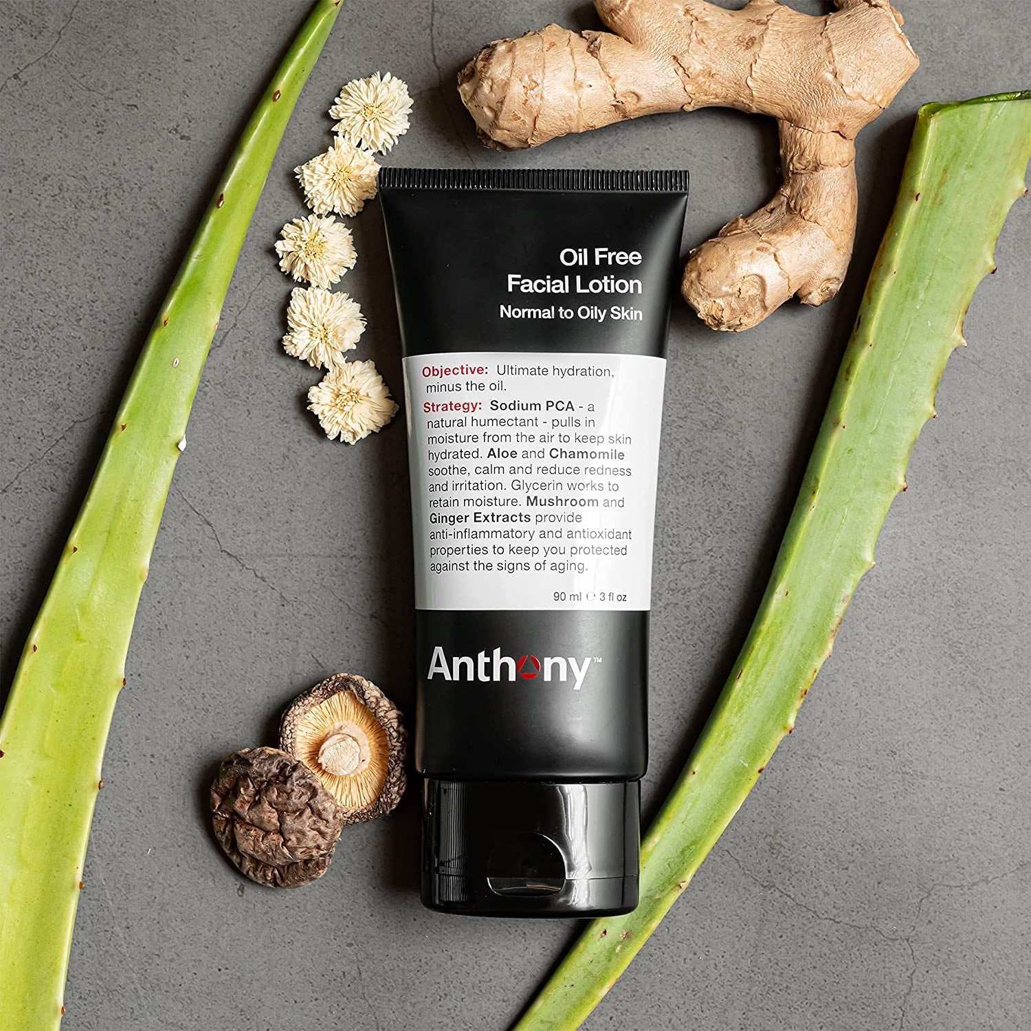 Anthony Oil Free Facial Lotion – Men’s Hydrating Face Moisturizer for Normal to Oily Skin – Anti-Aging and Antioxidant Formula – 3 Fl Oz Pack of 2