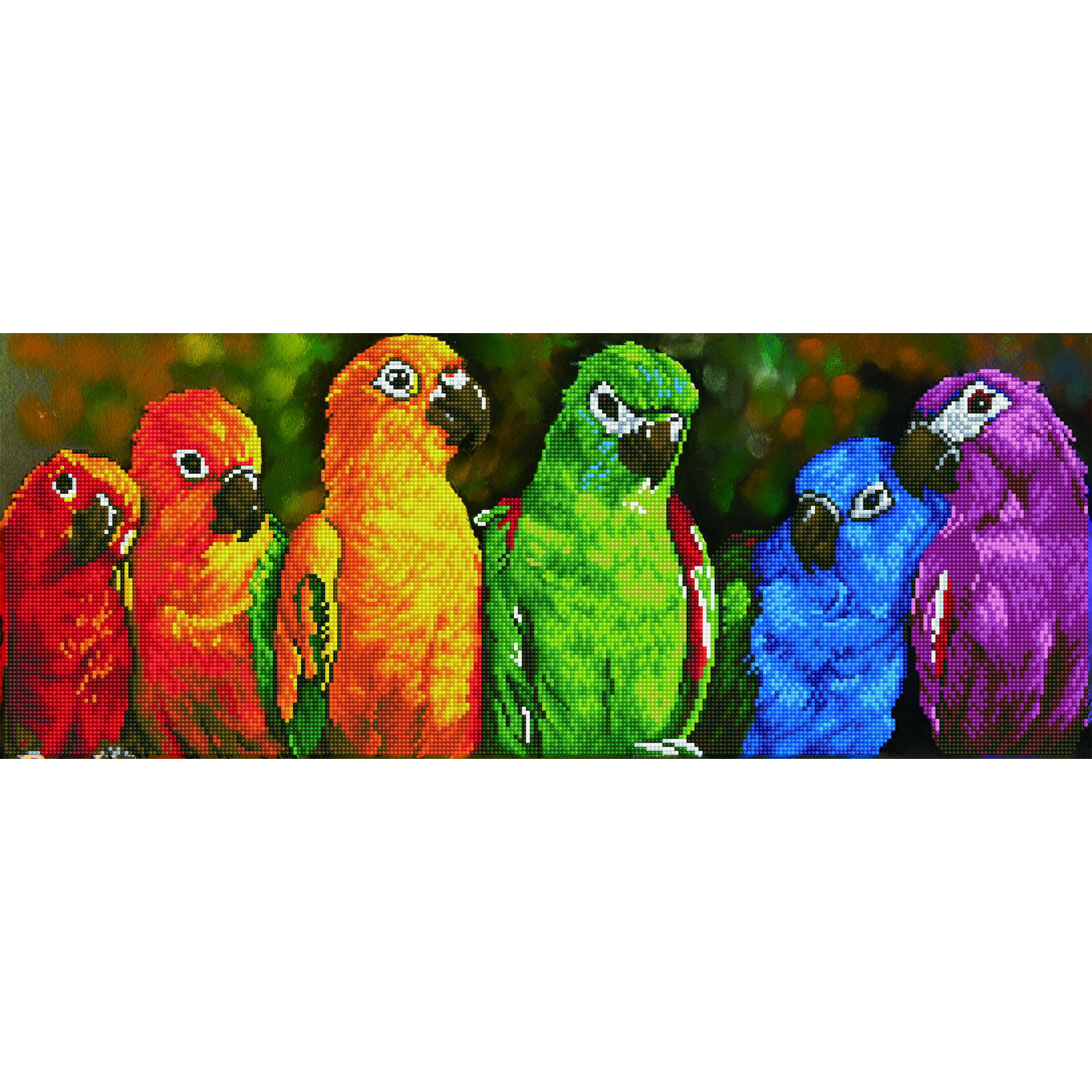 Diamond Dotz Rainbow Parrots Diamond Painting Kits for Adults - Diamond Art Kits a Relaxing Creative Craft Kit with Dotz Gems 11.8x30.3