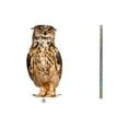 thumbnail image 3 of Oiseau par Oiseau, Bande Réfléchissante Répulsive Suspendue avec Hibou Répulsif Double Face Réfléchissante, 3 of 4