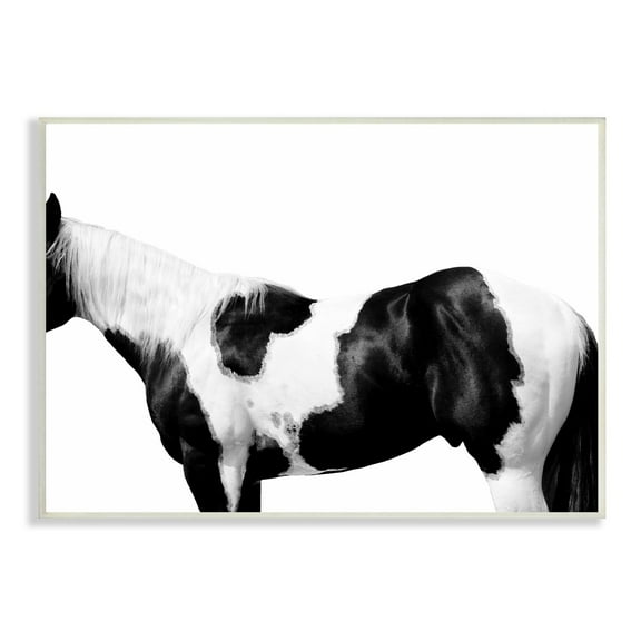 Stupell Industries Modern Horse Torso Photography Natural Animal Pattern, 19 x 13,Design by Samantha Carter