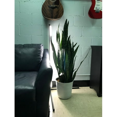 

Tall Plant LED Grow Light With Plant Stand Timer Auto On Off Energy Efficient