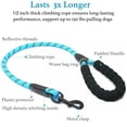 thumbnail image 3 of Dual Dog Leash, Double Dog Leash, 360 Swivel No Tangle Walking Leash, Shock Absorbing Bungee for Two Dogs, Large (25-150 lbs), 3 of 6