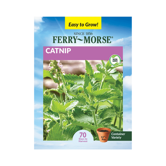 Ferry-Morse 350MG Catnip Perennial Herb Seeds, Full Sun