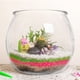 thumbnail image 5 of Pecera de plástico transparente, pequeño acuario, pequeña pecera, pecera para peces Betta, peces dorados, 5 of 5