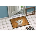 thumbnail image 4 of Carolines Treasures LH9459MAT Chinese Crested Wipe your Paws Doormat 18x27 27"L x 18"W multicolor, 4 of 4