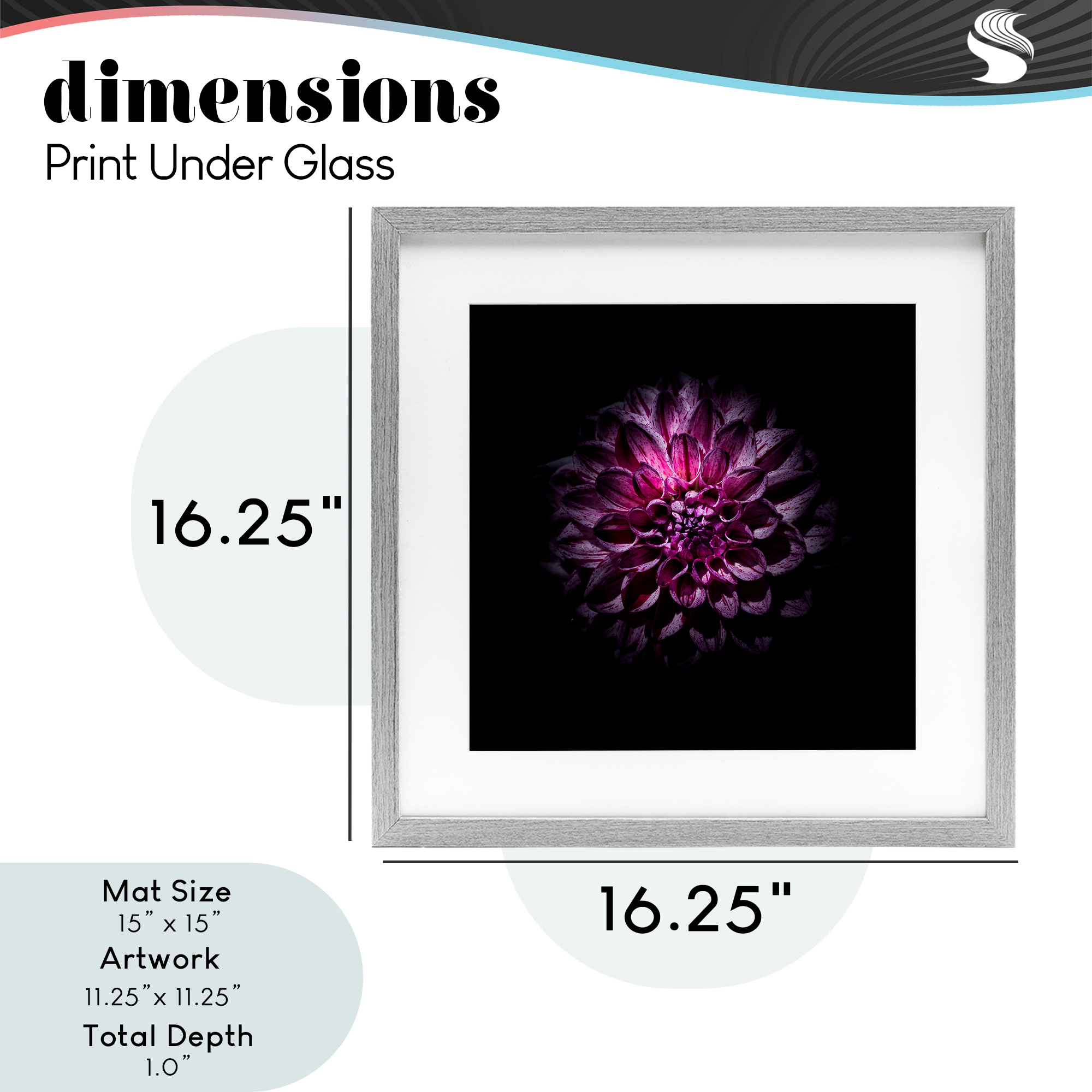 Purple Dahlia Dark Contemporary Gray Framed Print Under Glass, design by Brian Carson Photography