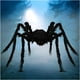 thumbnail image 1 of Decoración de Halloween BILLMOSS Araña gigante y peluda, 1 of 7