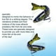 thumbnail image 4 of Señuelo artificial de 12,8 cm, hundible, con forma de varios peces, para pesca en el mar. Peces realistas que atraen a los peces. Portátil, ligero y duradero. Ideal para la pesca desde, 4 of 9