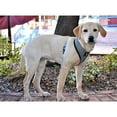 thumbnail image 6 of EcoBark Classic Dog Harness Max Comfort Eco-Friendly No Pull Pet Vest Puppy Harness for Small Large Dogs, 6 of 9