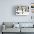 thumbnail image 2 of Trademark Fine Art Monte Nagler Winter Fence And Shadow Farmington Hills Michigan Canvas Wall Art - 12x19, 2 of 5