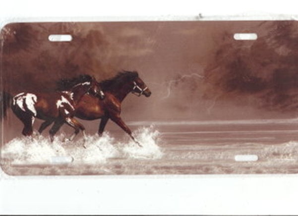 Horses Running Photo License Plate