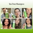thumbnail image 3 of Clarifying Shampoo for Build Up & Oily Hair - Tea Tree Shampoo for Men and Women with Rosemary Essential Oil for Oily Hair and Scalp - Color Safe Vegan Sulfate Silicone & Paraben Free (8 Fl Oz), 3 of 8
