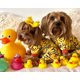 thumbnail image 3 of Pijama para Perritos, Ropa para Perros Adorable Ropa Suave con Patrón de Pato Amarillo Ropa Para Mascotas, 3 of 7