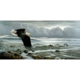 thumbnail image 2 of Goebel, Wilhelm 14x9 White Modern Wood Framed Museum Art Print Titled - Lowtide - Bald Eagle, 2 of 4