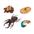 thumbnail image 2 of Fiudx Ofertas Flash Del Día Figura De Insecto De 4 Piezas, Ciclo De Vida, Cría De Plástico Hasta Período, 2 of 4